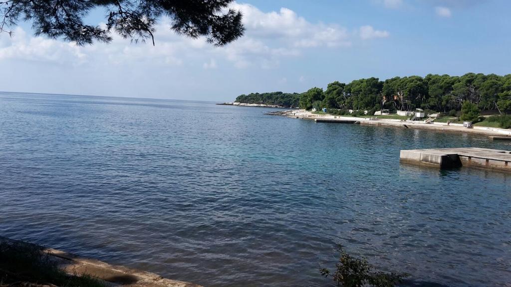 Mea Rusijan * Pola